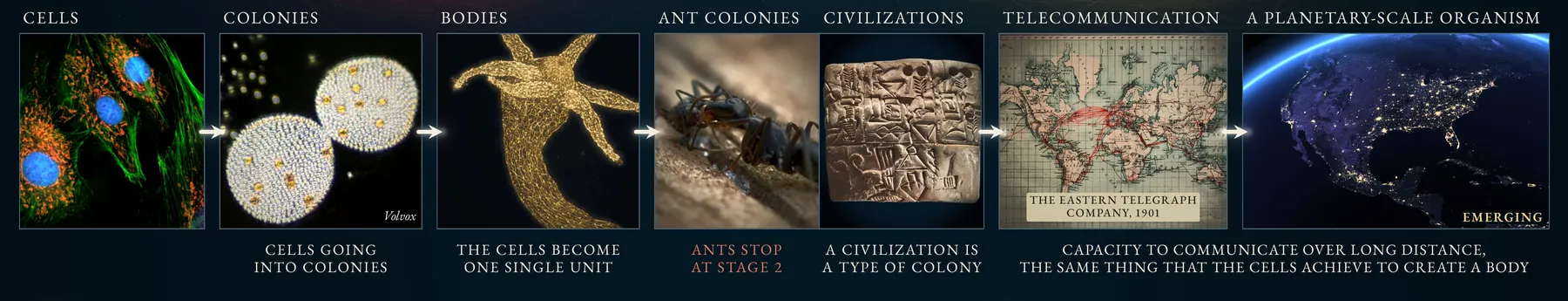 From the poster: cells, colonies of cells, bodies, ant colonies and civilizations, telecommunication, a planetary-scale organism, emerging